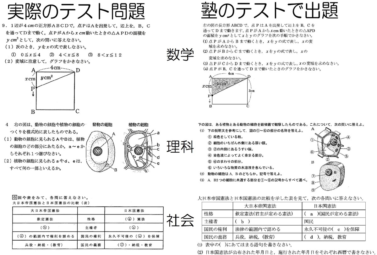 定期テストとサバイバルテストの比較
